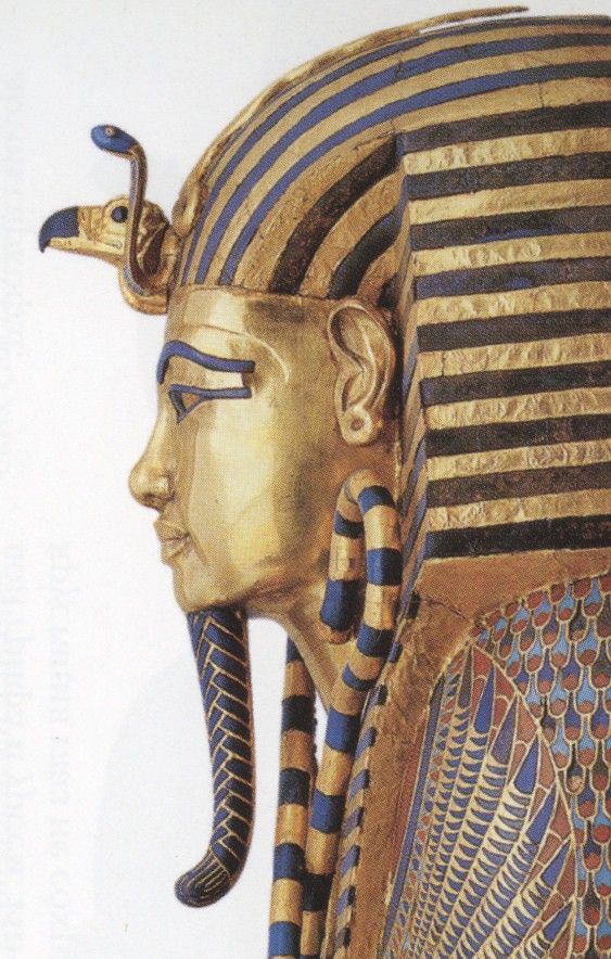 История полоски