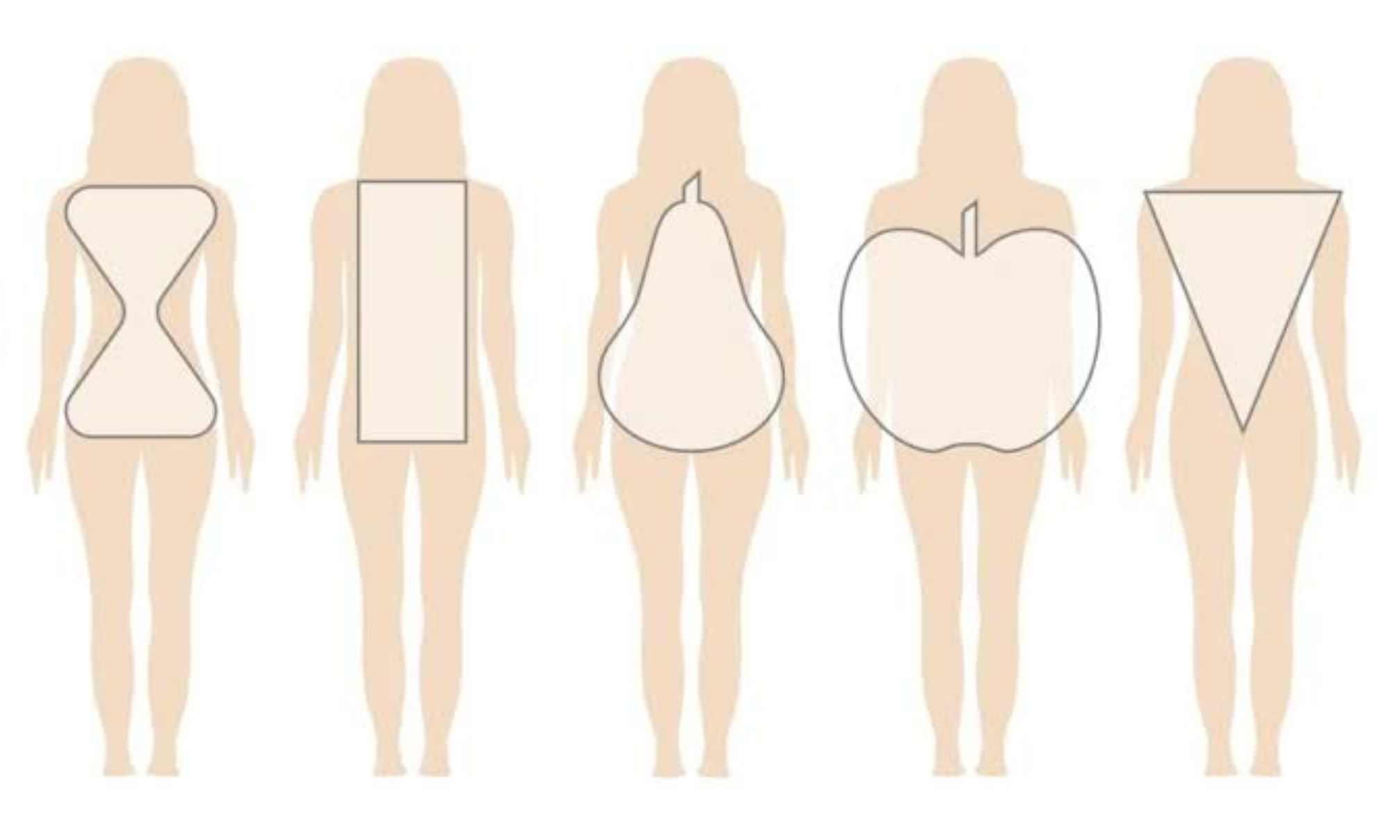 пять основных типов женских фигур